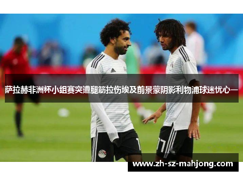 萨拉赫非洲杯小组赛突遭腿筋拉伤埃及前景蒙阴影利物浦球迷忧心一