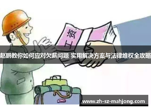 赵鹏教你如何应对欠薪问题 实用解决方案与法律维权全攻略